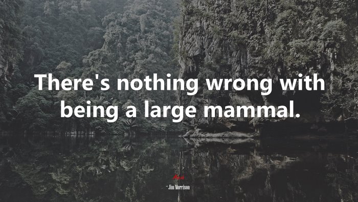 There’s nothing wrong with being a large mammal. | Jim Morrison quote