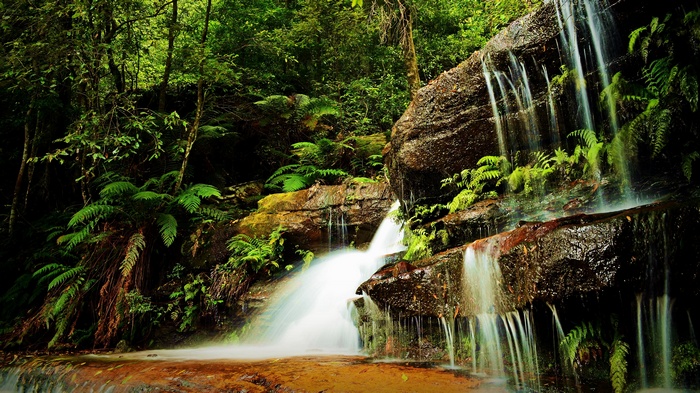 Waterfall cascading over mossy rocks in a dense forest