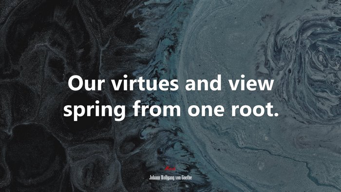 Our virtues and view spring from one root. | Johann Wolfgang von Goethe quote
