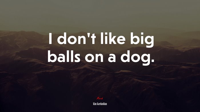 I don’t like big balls on a dog. | Kim Kardashian quote