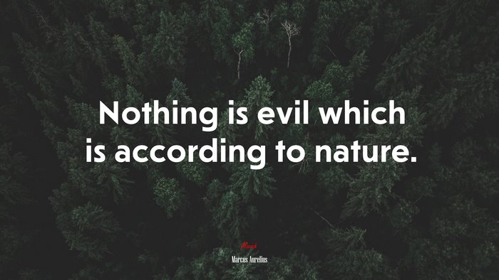 Nothing is evil which is according to nature. | Marcus Aurelius quote