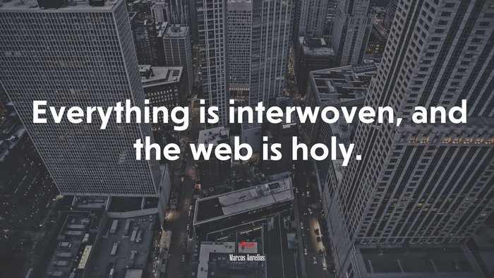 Everything is interwoven, and the web is holy. | Marcus Aurelius quote