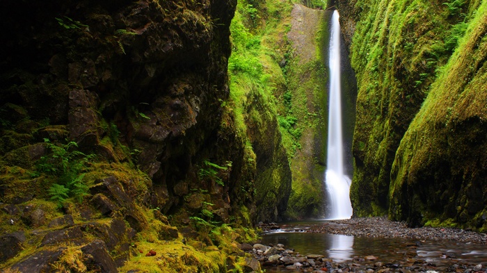 Waterfall cascading down moss-covered cliffs into a stream