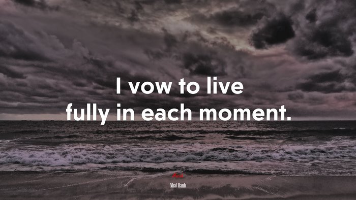 I vow to live fully in each moment. | Nhat Hanh quote