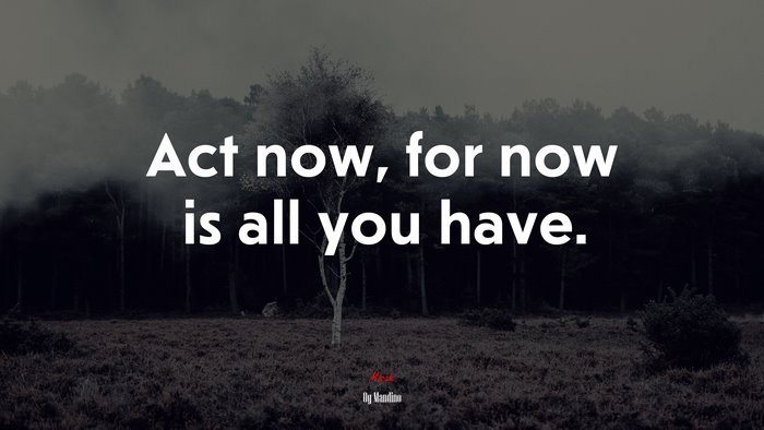 Act now, for now is all you have. | Og Mandino quote