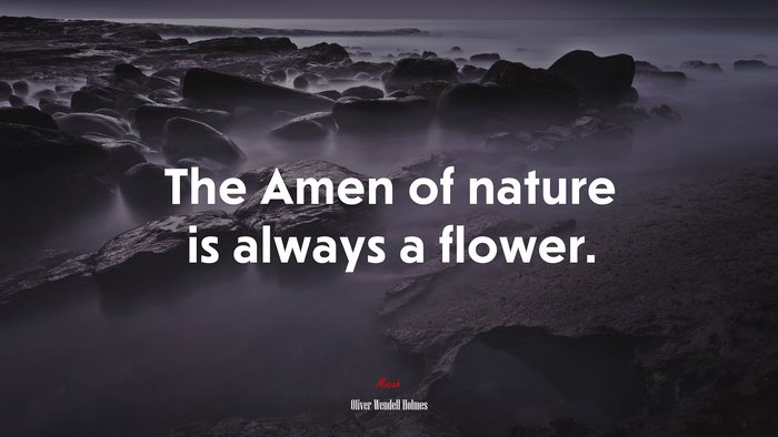 The Amen of nature is always a flower. | Oliver Wendell Holmes quote