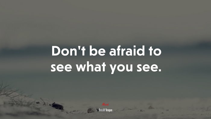 Don’t be afraid to see what you see. | Ronald Reagan quote