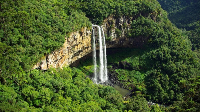 Waterfall cascading down a rocky cliff in a dense forest