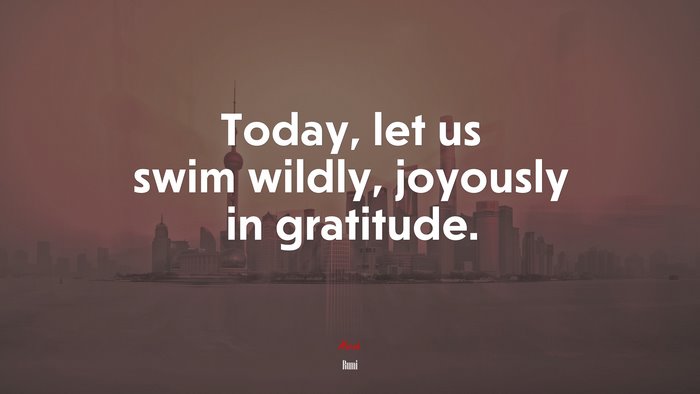 Today, let us swim wildly, joyously in gratitude. | Rumi quote