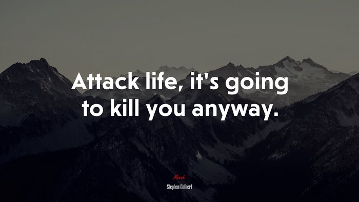 Attack life, it’s going to kill you anyway. | Stephen Colbert quote
