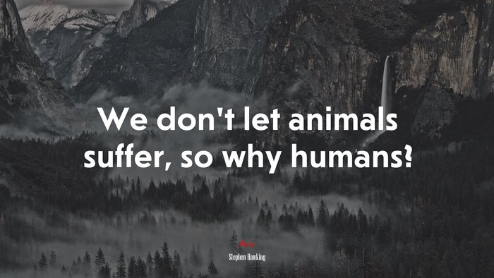 We don’t let animals suffer, so why humans? | Stephen Hawking quote