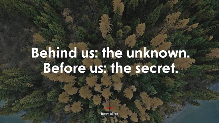 Behind us: the unknown. Before us: the secret. | Terence McKenna quote
