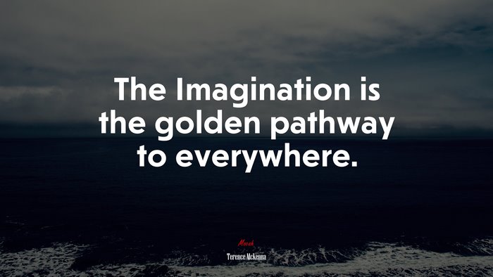 The Imagination is the golden pathway to everywhere. | Terence McKenna quote