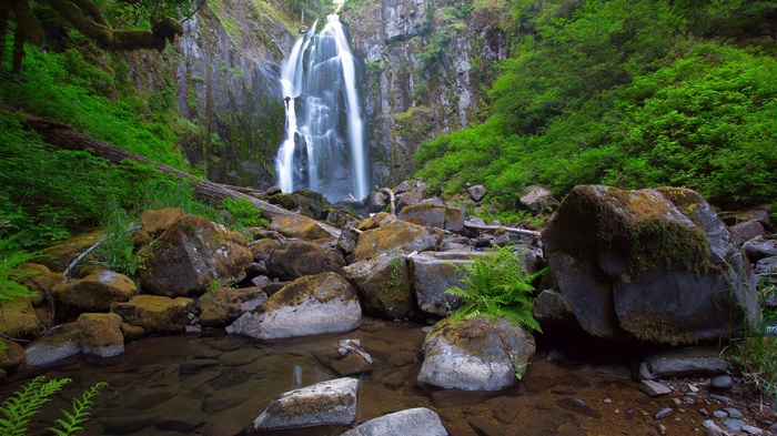 Waterfall cascading down a rocky cliff surrounded by greenery
