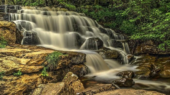 Waterfall cascading over rocks in a forest