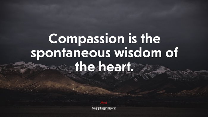 Compassion is the spontaneous wisdom of the heart. | Yongey Mingyur Rinpoche quote