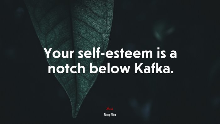Your self-esteem is a notch below Kafka. | Woody Allen quote