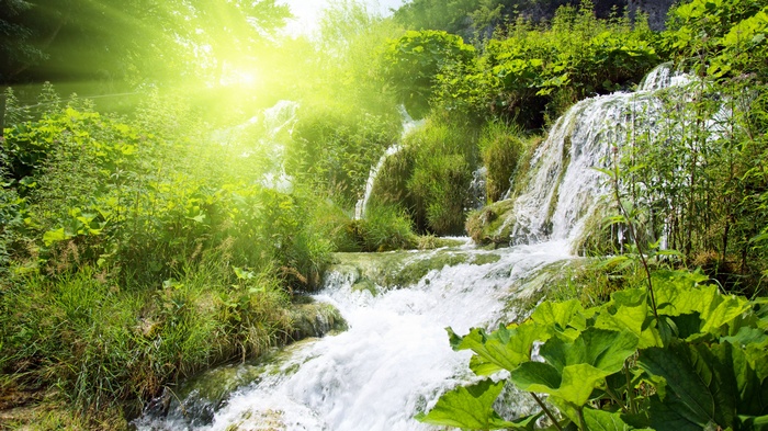 Sunlight shines on a cascading waterfall in a green forest.