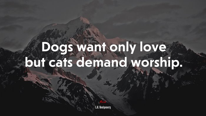Dogs want only love but cats demand worship. | L.M. Montgomery quote
