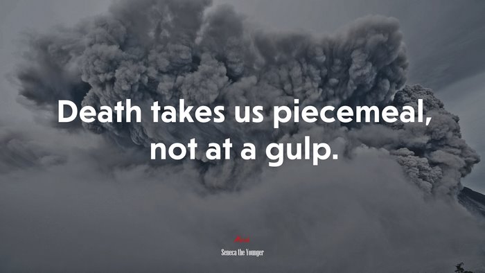 Death takes us piecemeal, not at a gulp. | Seneca the Younger quote