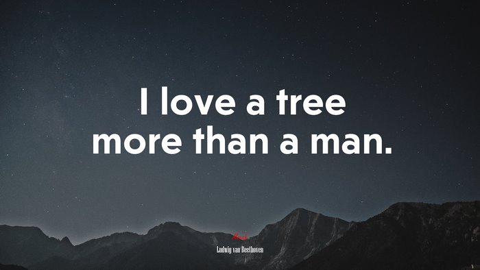 I love a tree more than a man. | Ludwig van Beethoven quote