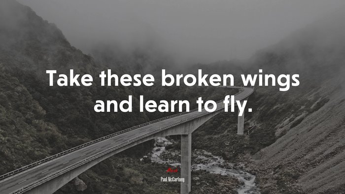 Take these broken wings and learn to fly. | Paul McCartney quote