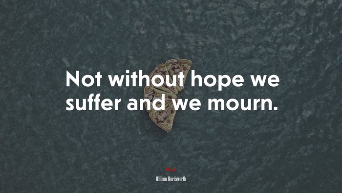 Not without hope we suffer and we mourn. | William Wordsworth quote