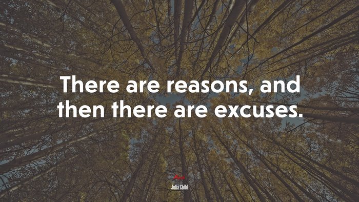 There are reasons, and then there are excuses. | Julia Child quote