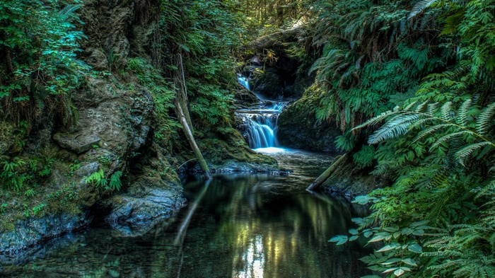 Waterfall flowing through a dense green forest