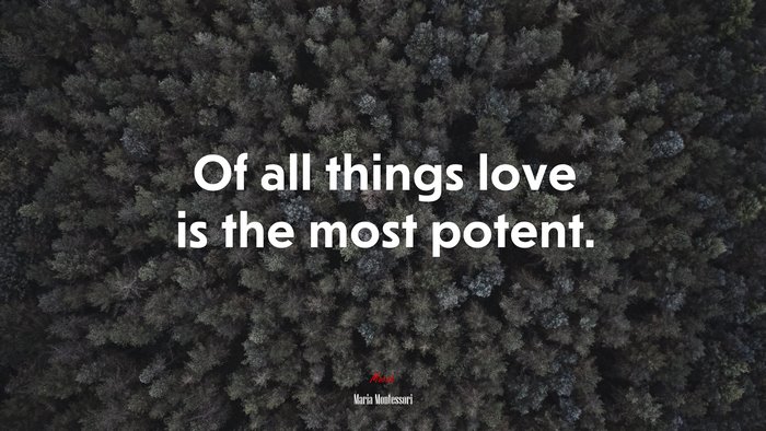 Of all things love is the most potent. | Maria Montessori quote