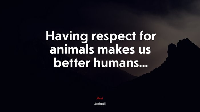 Having respect for animals makes us better humans... | Jane Goodall quote