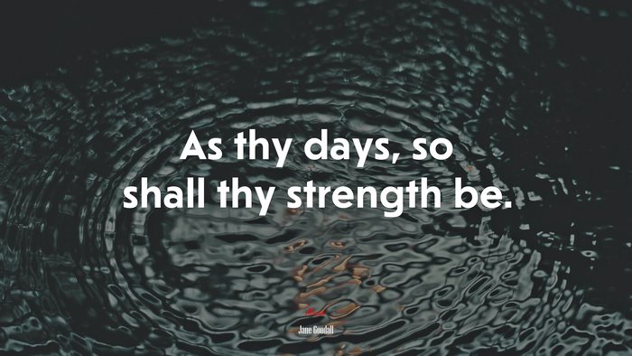 As thy days, so shall thy strength be. | Jane Goodall quote