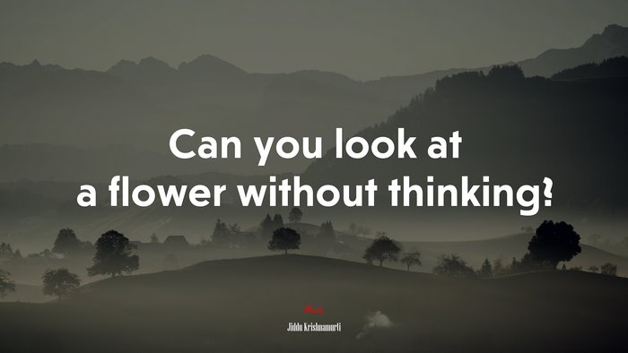 Can you look at a flower without thinking? | Jiddu Krishnamurti quote