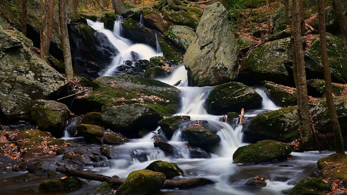 Waterfall cascading over mossy rocks in a forest