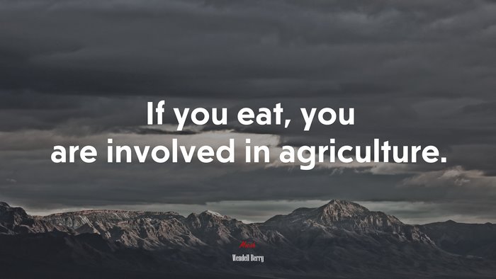 If you eat, you are involved in agriculture. | Wendell Berry quote