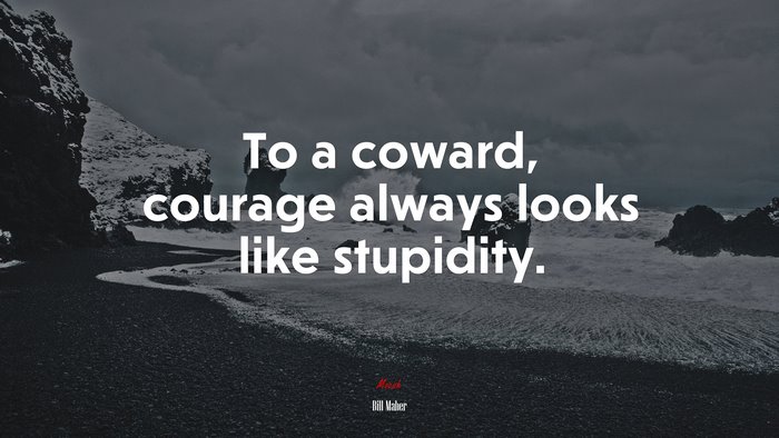 To a coward, courage always looks like stupidity. | Bill Maher quote