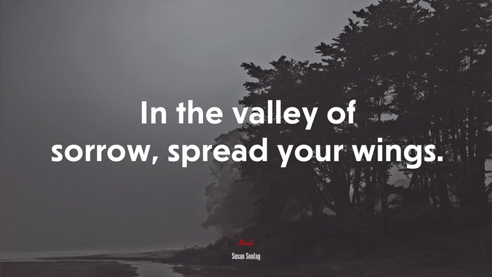 In the valley of sorrow, spread your wings. | Susan Sontag quote