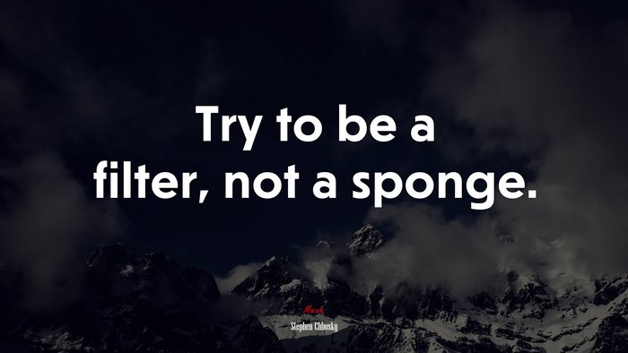 Try to be a filter, not a sponge. | Stephen Chbosky quote