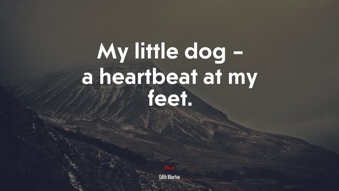 My little dog – a heartbeat at my feet. | Edith Wharton quote