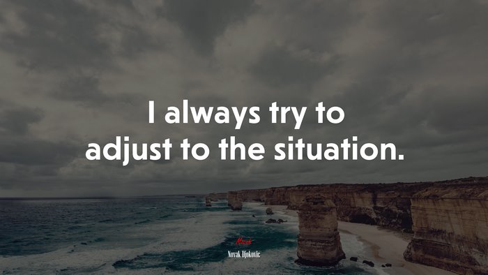 I always try to adjust to the situation. | Novak Djokovic quote