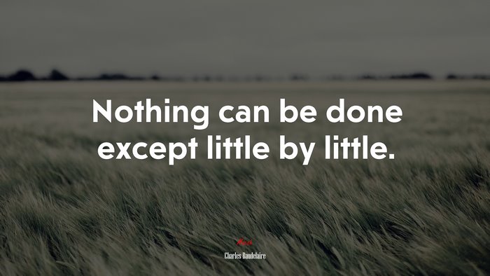 Nothing can be done except little by little. | Charles Baudelaire quote