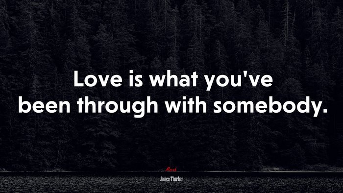 Love is what you’ve been through with somebody. | James Thurber quote