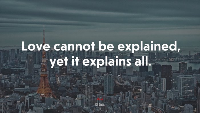 Love cannot be explained, yet it explains all. | Elif Shafak quote
