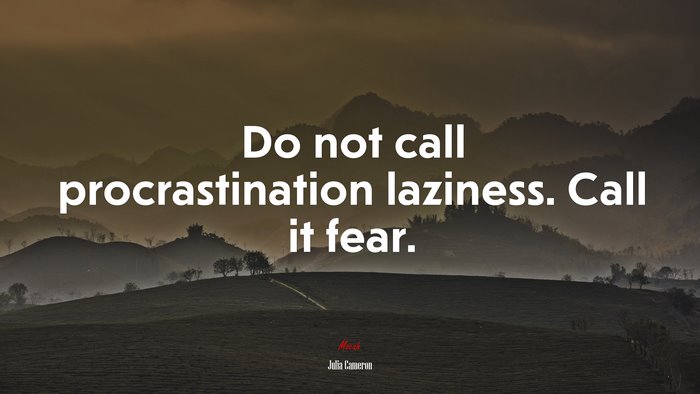 Do not call procrastination laziness. Call it fear. | Julia Cameron quote