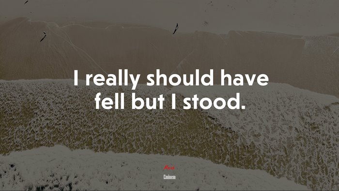 I really should have fell but I stood. | Eminem quote