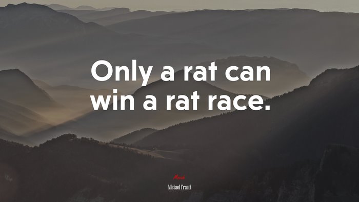 Only a rat can win a rat race. | Michael Franti quote