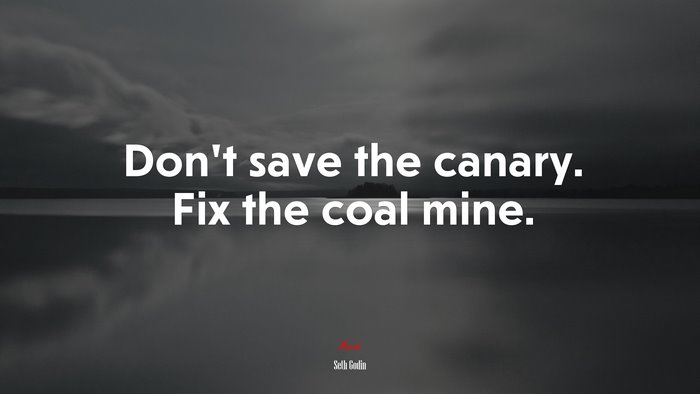 Don’t save the canary. Fix the coal mine. | Seth Godin quote