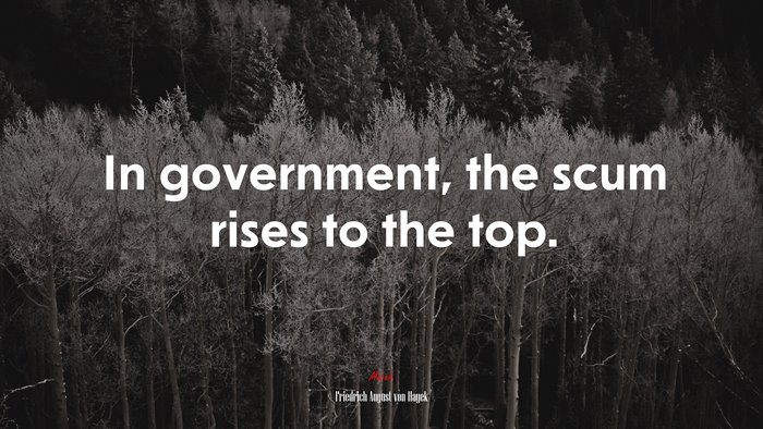 In government, the scum rises to the top. | Friedrich August von Hayek quote
