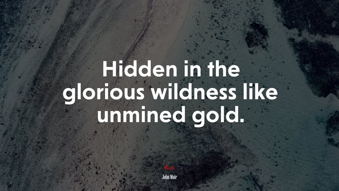 Hidden in the glorious wildness like unmined gold. | John Muir quote