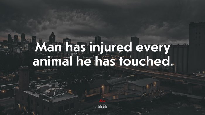 Man has injured every animal he has touched. | John Muir quote